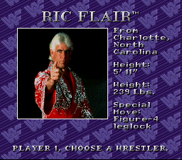 WWF Royal Rumble screenshot 4 for Super Nintendo